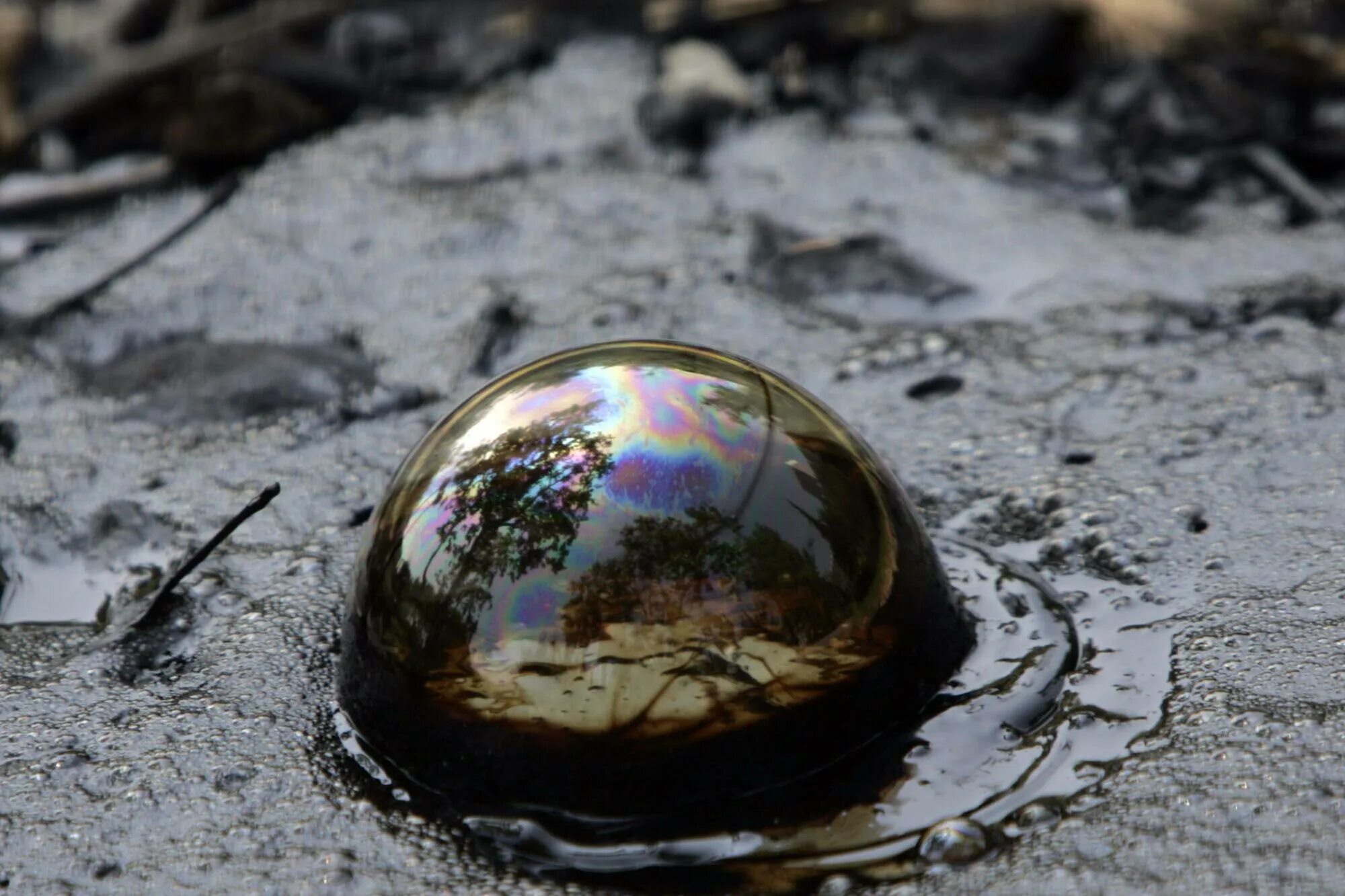 Какой газ на болоте. Болотный пузырь. Нефтяные пузыри. Пузыри на болоте. Метан в болотах.