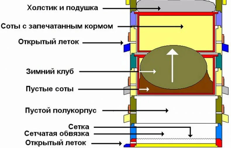 Как формировать гнездо. Как формировать гнездо