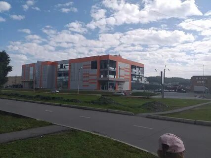 Клен находка