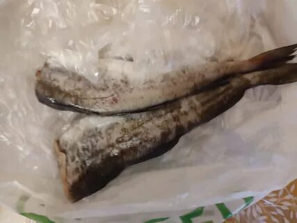 Минтай чешуйчатый: характеристики и применение Компас решений gravitsky.ru