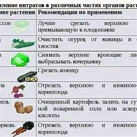 Содержание нитратов в овощах. Нитраты в растениях. Накопление нитратов в растениях. Накопление нитратов в овощах. Растения накапливающие нитраты.