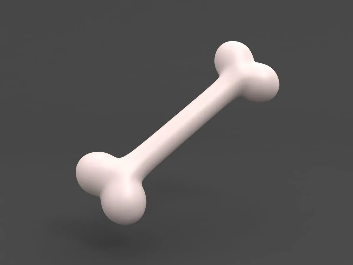 Bone 3d