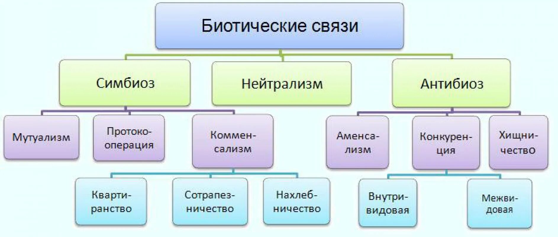 Биотические связи в природе таблица. Биотические взаимоотношения схема. Биотические связи схема. Типы биотических взаимодействий схема. Биотические связи в природе схема.