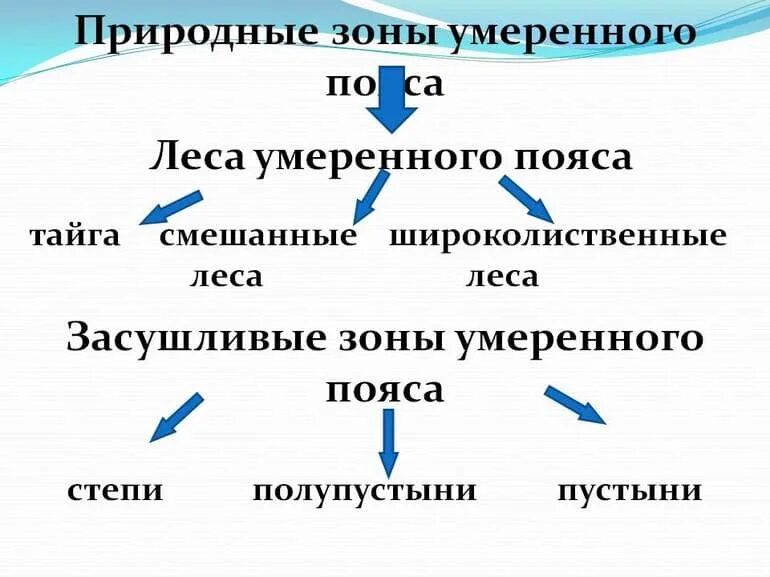 Особенности северного умеренного пояса. Природные зоны умеренного пояса России. Природные зоны умеренного климата. Природные зоны умеренного климатического пояса. Природные зоны умеренного пояса поясов.