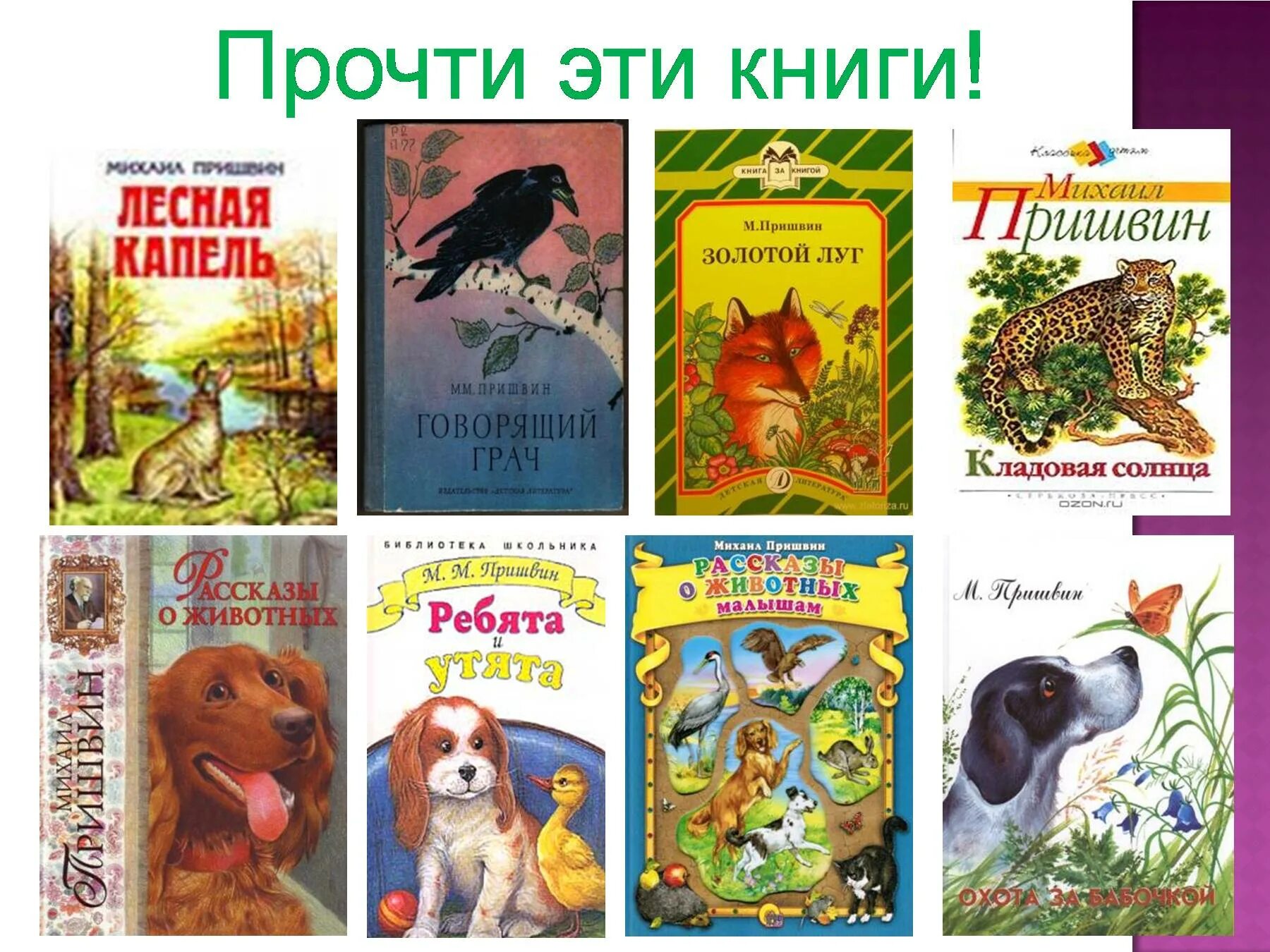 Как составить сборник произведений. Пришвин список произведений для детей. книги м м пришвина. рассказы пришвина для детей список.