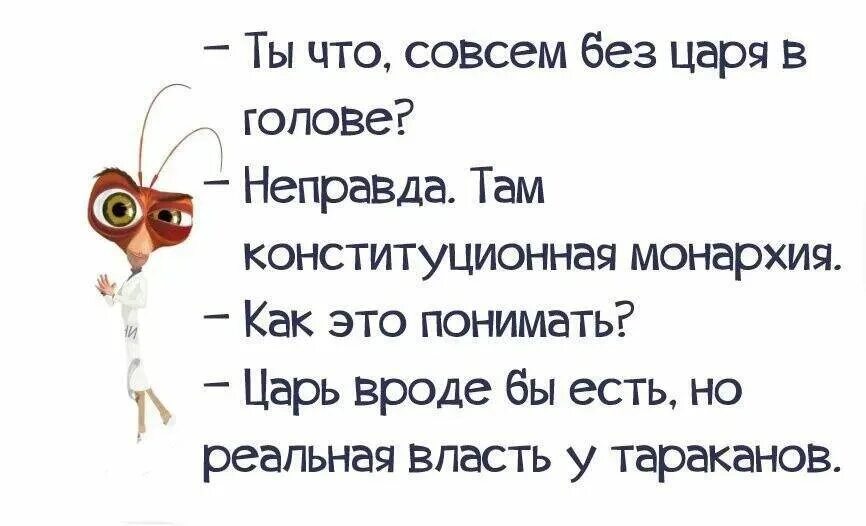 Отсутствие тараканов в голове 11 букв