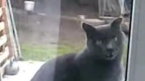 Саня открой