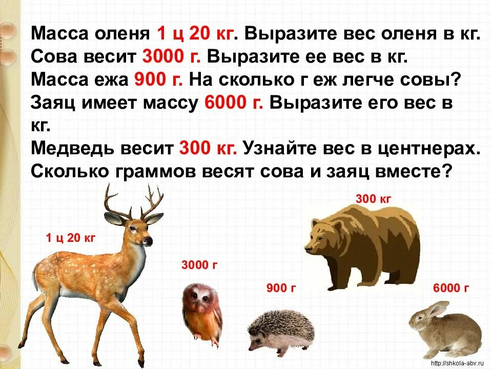 Сколько весит самка. Вес оленя. Масса животных. Сколько весят животные. Кто весит 100 кг из животных.