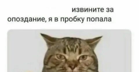 Извините за опоздание можно войти по английски