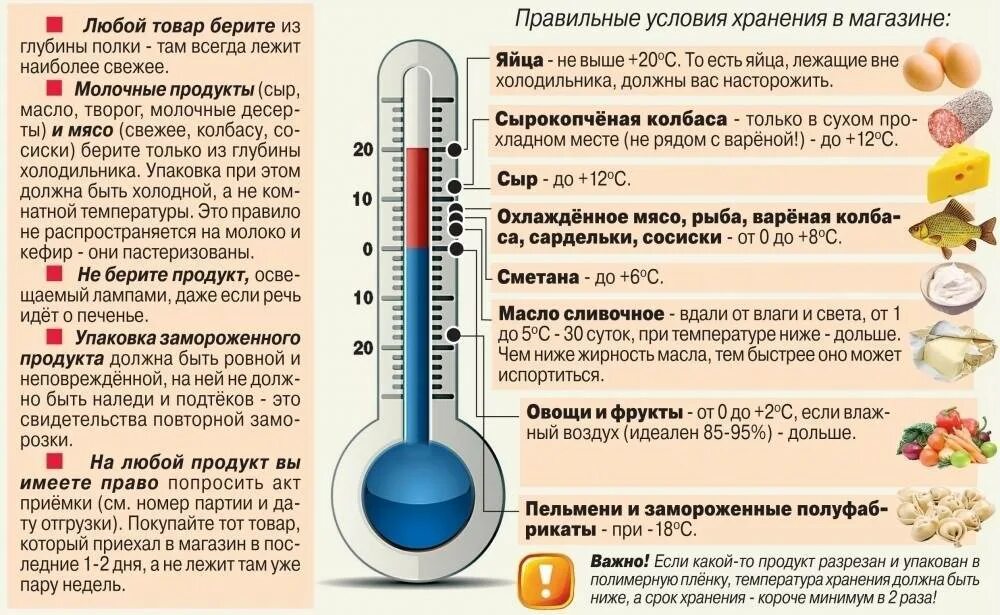 Температура. Температура пищи. Температура хранения холодных продуктов. Какая может быть температура.