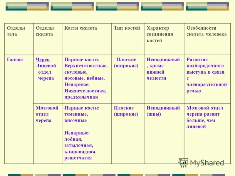 Нижняя конечность отдел скелета кости скелета. Кости скелета строение скелета 8 класс биология. Скелет птицы строение и функции. Кости скелета туловища таблица. Перечислите отделы тела.