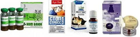 Корректор кошки