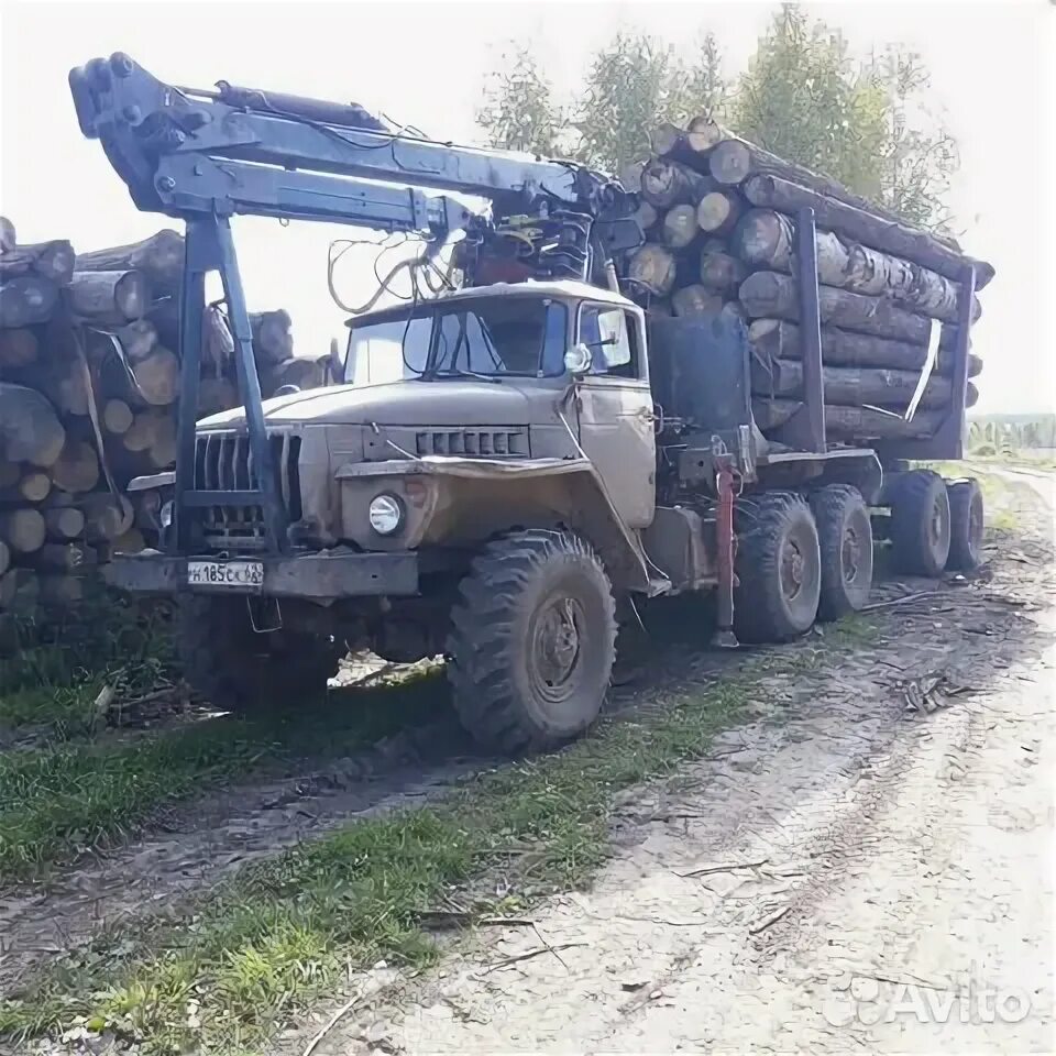 Урал фишка лесовоз. Лесовоз vm10 урал. Урал 5557 лесовоз вологодская область. Лесовоз урал 4320 с роспуском. Авито пермский край лесовозы.
