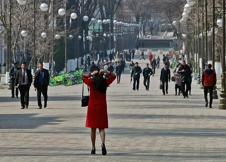 Летняя суета