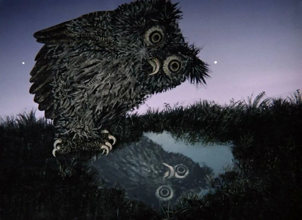 Сова ежик. Ежик в тумане филин. Сова ежик. Сова ежик. Сова ежик.