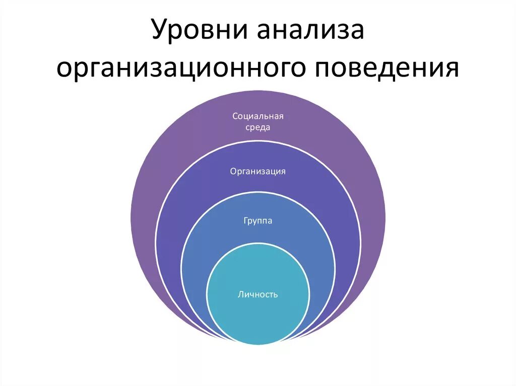 Уровни организационного поведения