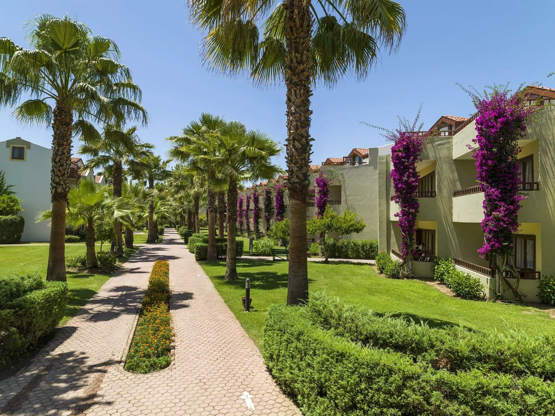 Отель club tuana fethiye. Club tuana ex majesty club tuana park 5 турция фетхие. Отель туана фетхие. Фетхие турция туана клаб. Hotel club tuana fethiye 5 фетхие турция.