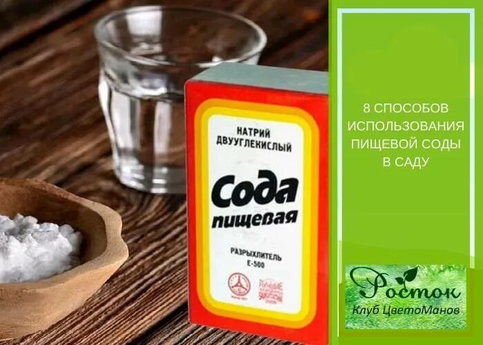 Сода пищевая. День пищевой соды. Сода для уличного туалета. Пищевая сода для уличного туалета. Сода при боли в желудке