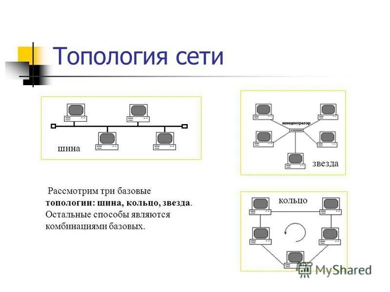 Шина (топология компьютерной сети). 3 топология шина. Схема локальной сети с топологией звезда. 3 топология шина. Общая шина топология сети.