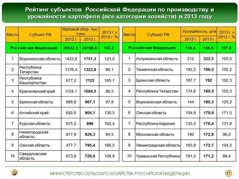 Урожайность картофеля с 1 га в России. Сколько картошки с 1 га. Урожайность картофеля с 1 гектара. Средняя урожайность картофеля с гектара. Средняя урожайность картофеля