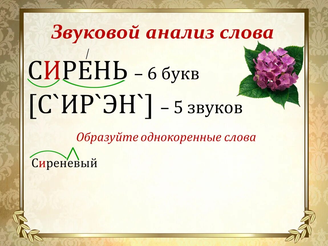 Слово цветы сколько букв сколько звуков. Звуковой анализ слова сирень. Сирень транскрипция. Звуко-буквенный разбор слова сирень. Фонетический анализ сирень.