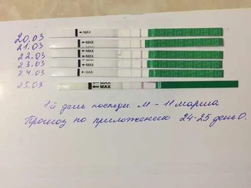 Тест на овуляцию и беременность. Тест на овуляцию при беременности. Тест на беременность при поздней овуляции. Тест на овуляцию положительный после месячных. Овуляция при приеме кок