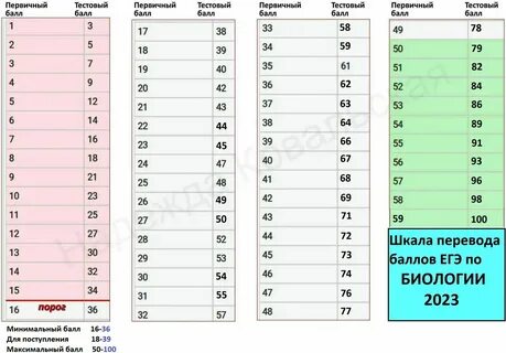 Система оценивания егэ по русскому 2025