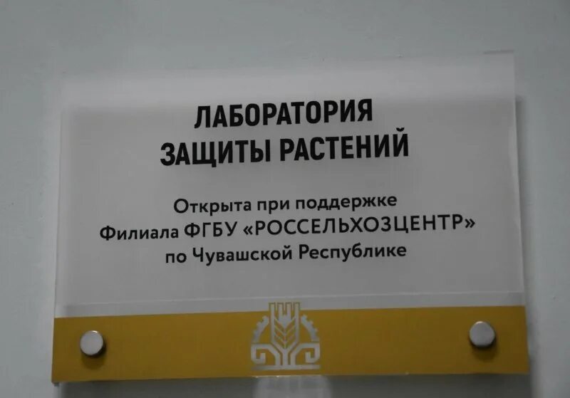 Лаборатория защиты растений тимирязевской. Защита в лаборатории. Лаборатория защиты растений. Лаборатория защиты растений (Коптево).