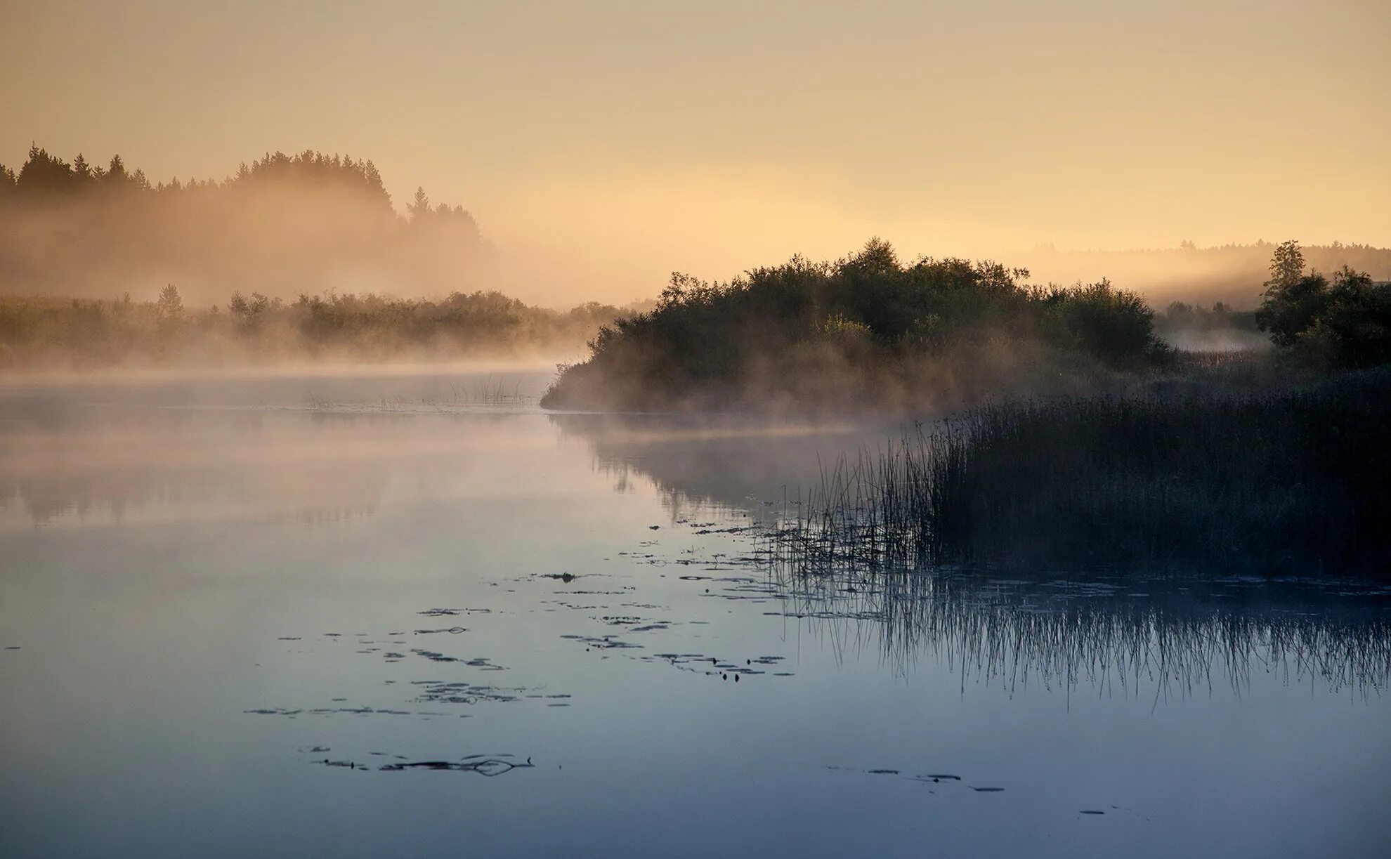 Дым в озерах. Река Жиздра туман. Река Медведица Тверская область. Туманное озеро Фет. Река дымка.