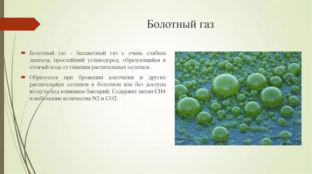 Бактерии выделяют горючий газ метан. Метан болотный ГАЗ. Метан в болотах. Болото с пузырями. Пузыри на болоте.