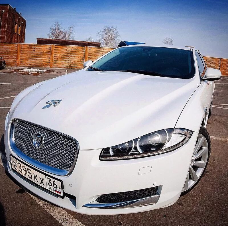 Авто воронеж телефоны. Jaguar XF капот. Ягуар машина XF. Ягуар белый машина XF. Ягуар XF 2000.