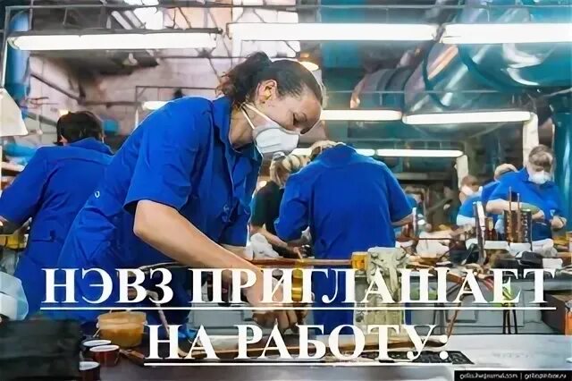 Нэвз новочеркасск. Нэвз вакансии новочеркасск. Нэвз новочеркасск детское мероприятие. Гридасов нэвз новочеркасск. Нэвз вакансии новочеркасск.