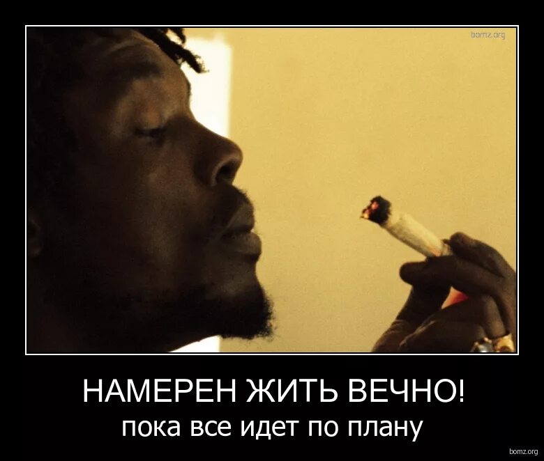 жить сколько хочешь.