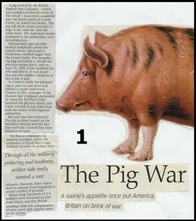 Pigs lyrics