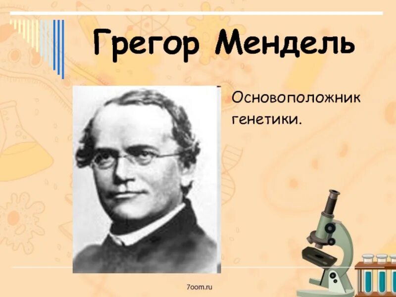 Создатель генетики. Грегор Мендель основоположник генетики. Мендель ученый. Г Мендель основоположник генетики. Мендель основоположник генетики кратко.