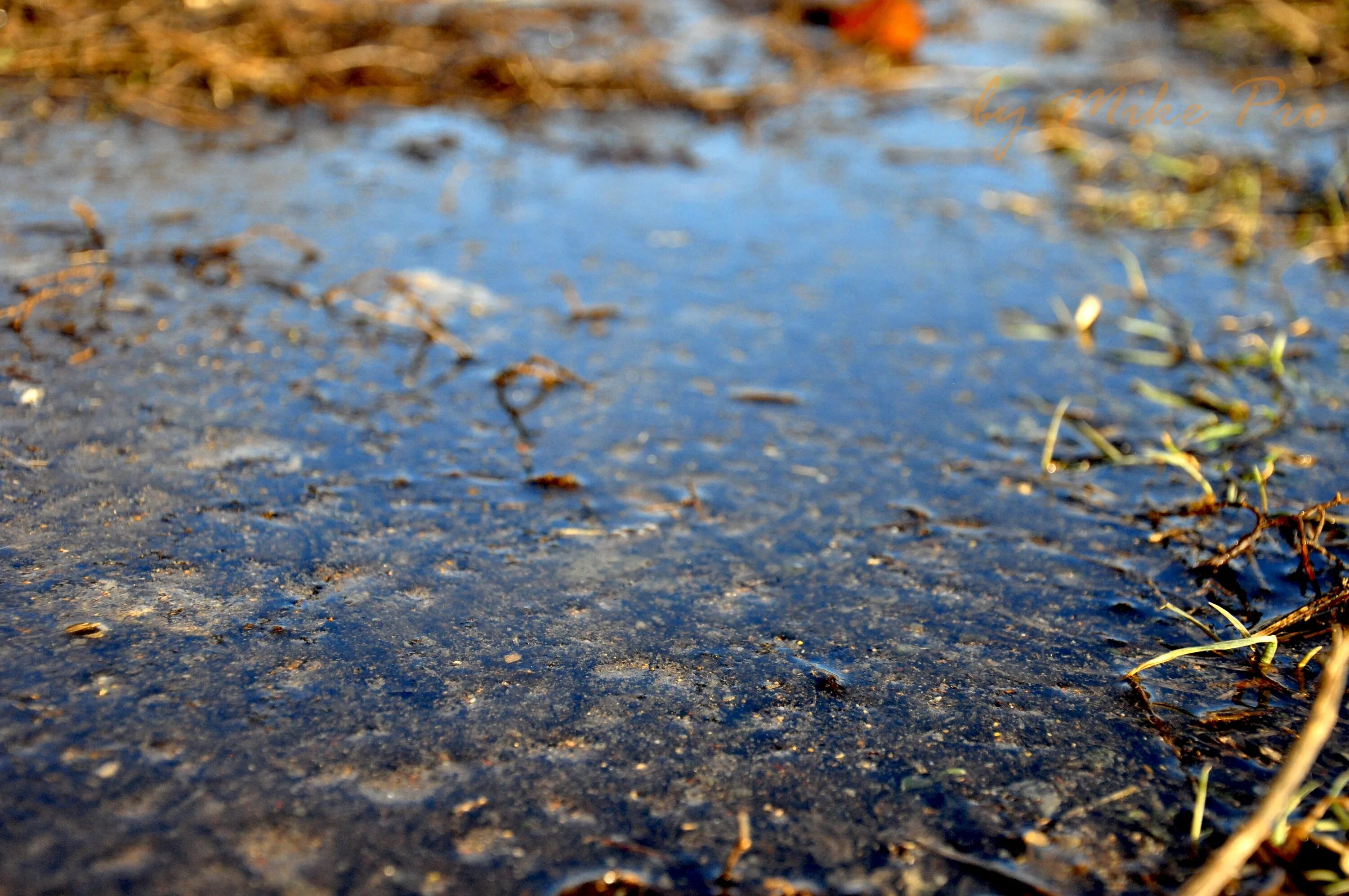 Желтая вода весной. Вода в почве. Весенняя земля. Земля трава вода. Земля весной.