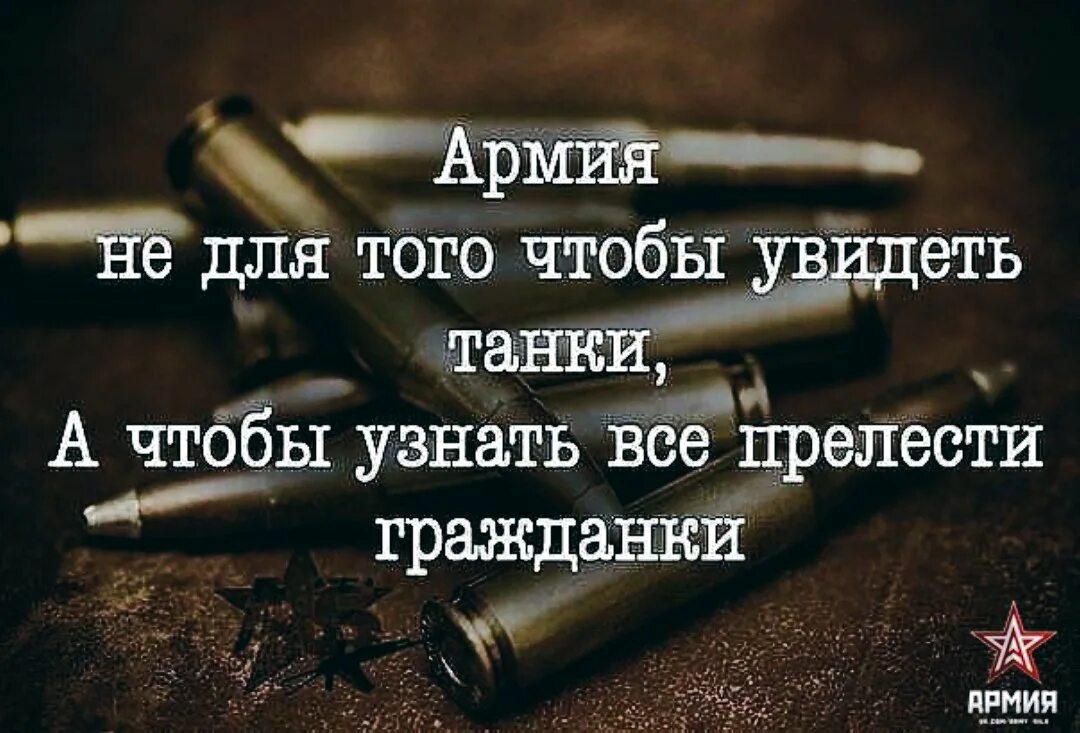 Военный который не любит поговорку одна. Армейские цитаты. Цитаты про армию. Высказывания про армию. Афоризмы про армию.