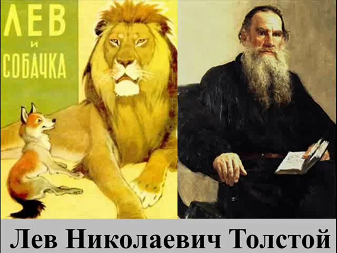 Лев и собачка урок. Лев николаевич толстой лев и собачка. лев николаевич толстой произведения лев и собачка. н толстой. лев и собачка л толстой. лев и собачка толстой иллюстрации.