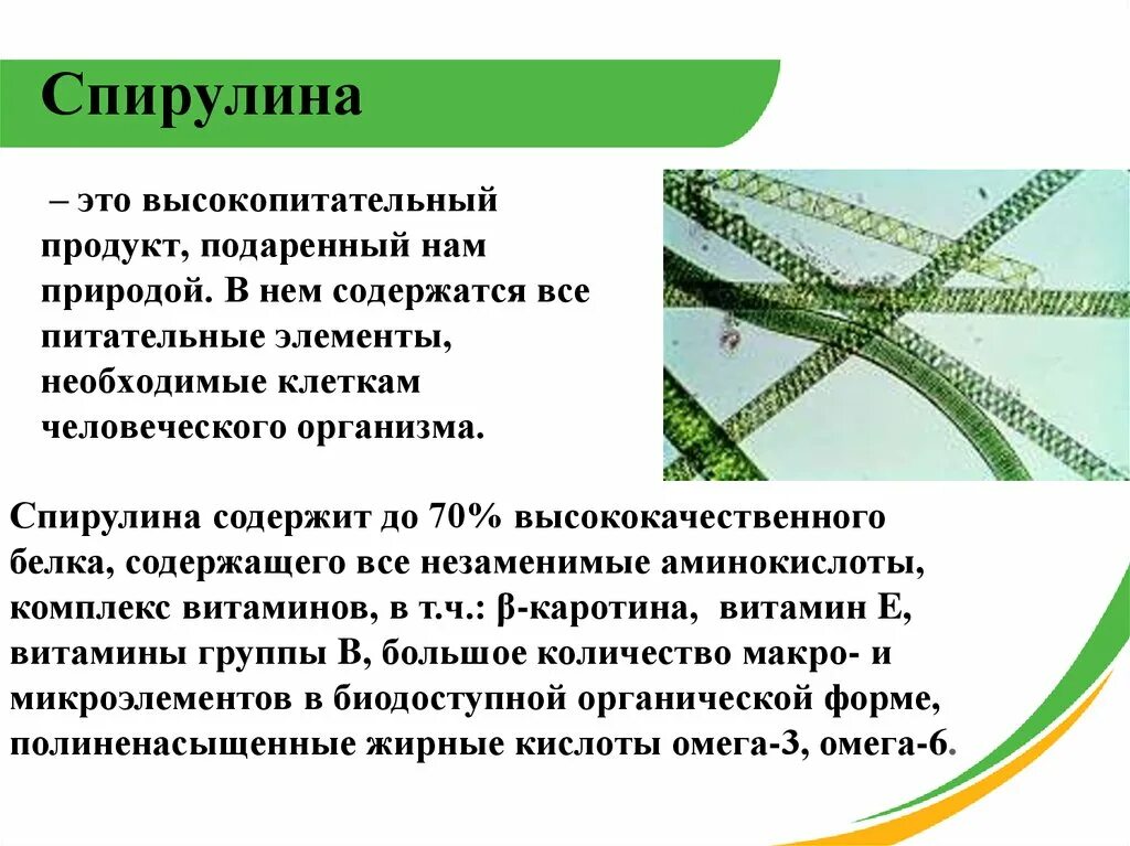 Спирулина польза и вред для организма. Спирулина Тяньши. Спирулина доклад. Спирулина действие на организм человека. Спирулина Тяньши полезные свойства.