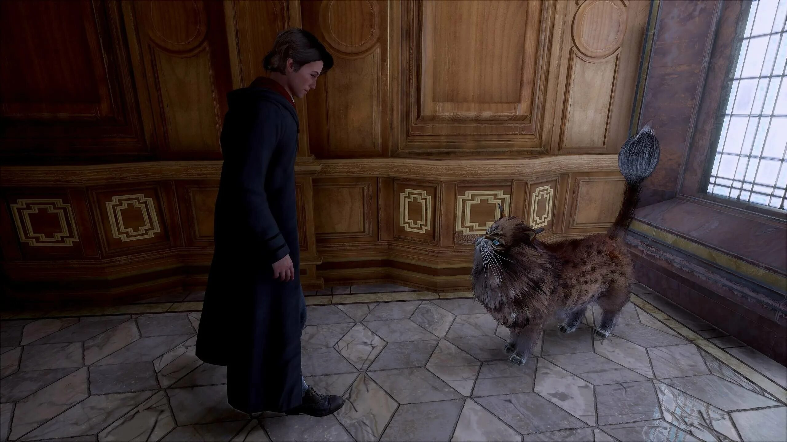 Жмыр гарри поттер. Жмыр гермионы. Жмыр хогвартс легаси. Лазиль гарри поттер. Книззлы в гарри поттере.