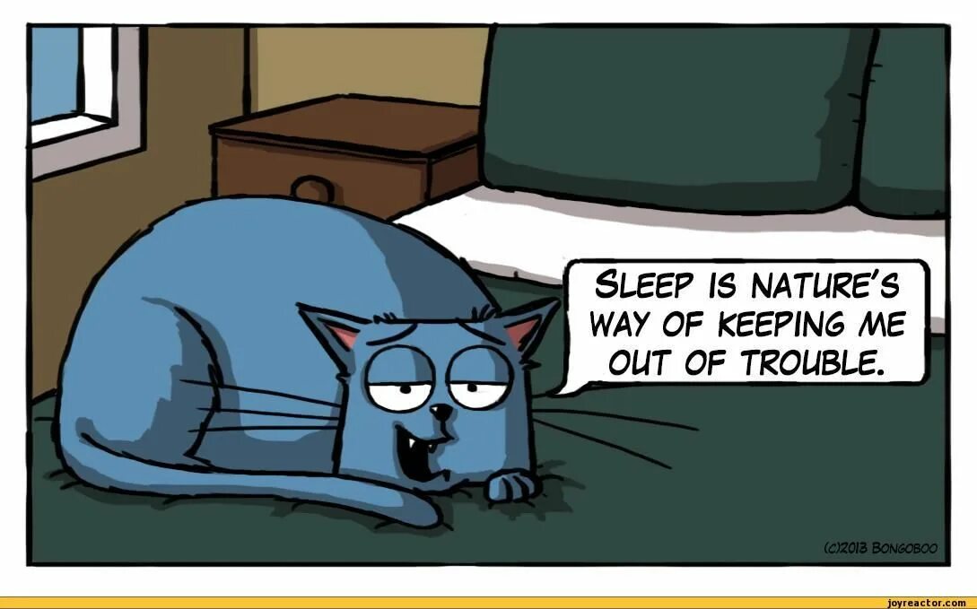 Rule 34 cat nap. Шутки про сон. Sleeping jokes. Sleeptime fun!. Cat nap картинка в игре.