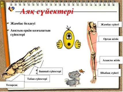 Порно HD қолжетімді тыйым салынған бейне