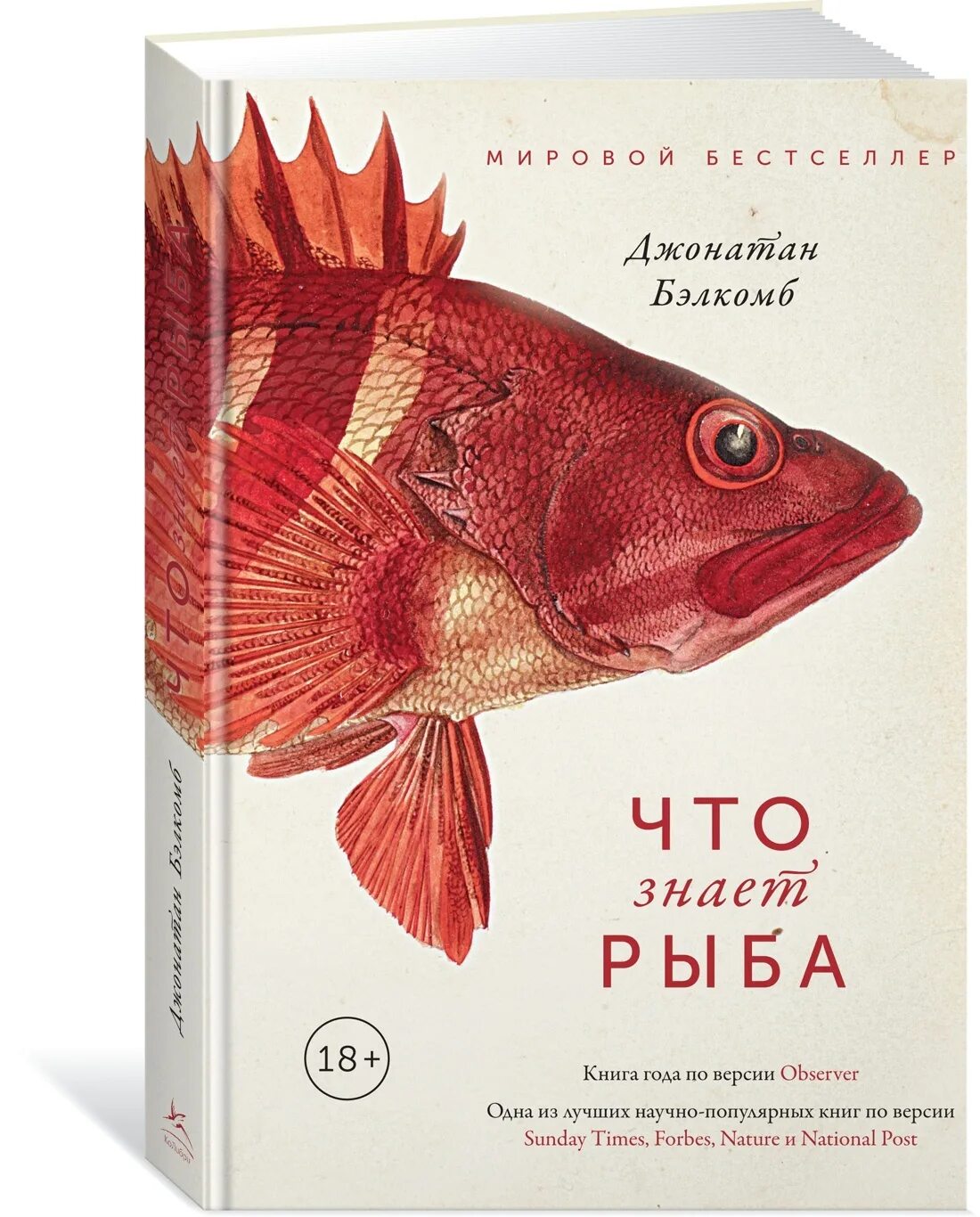 Все знают что рыбы. Что знает рыба джонатан бэлкомб. книги про рыб. книжка про рыб. рыбы обложка.