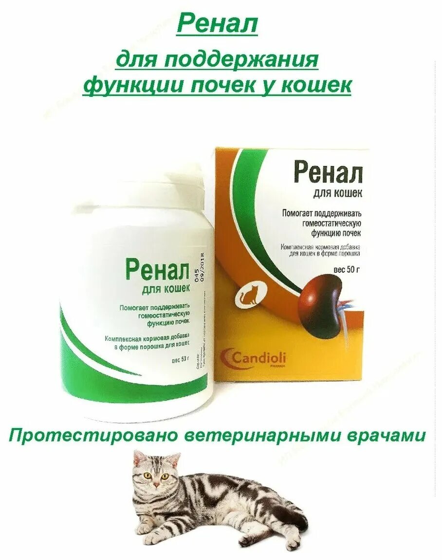 Ренал при хпн. Ренал кормовая добавка для кошек. добавка ренал для кошек с хитозаном. ренал кандиоли для кошек. ренал порошок для кошек.