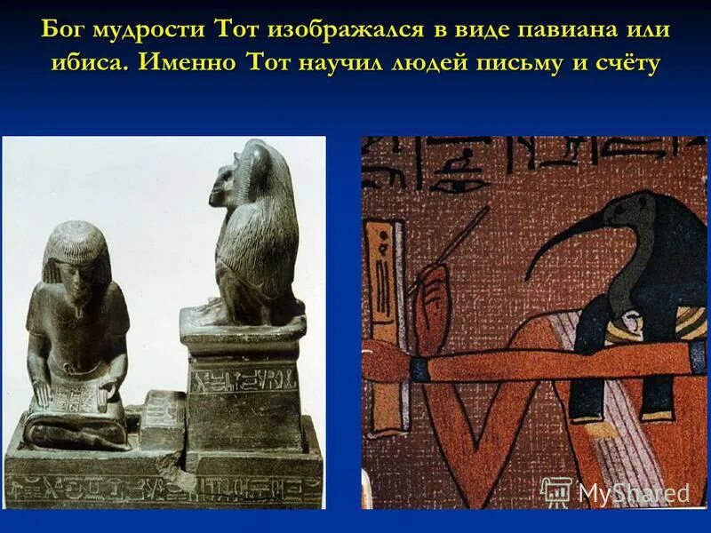 Тот бог египта. Бог мудрости научивший людей читать и писать. Гор покровительствовал. Бог земли в древнем египте. Бог мудрости научивший людей читать и писать.