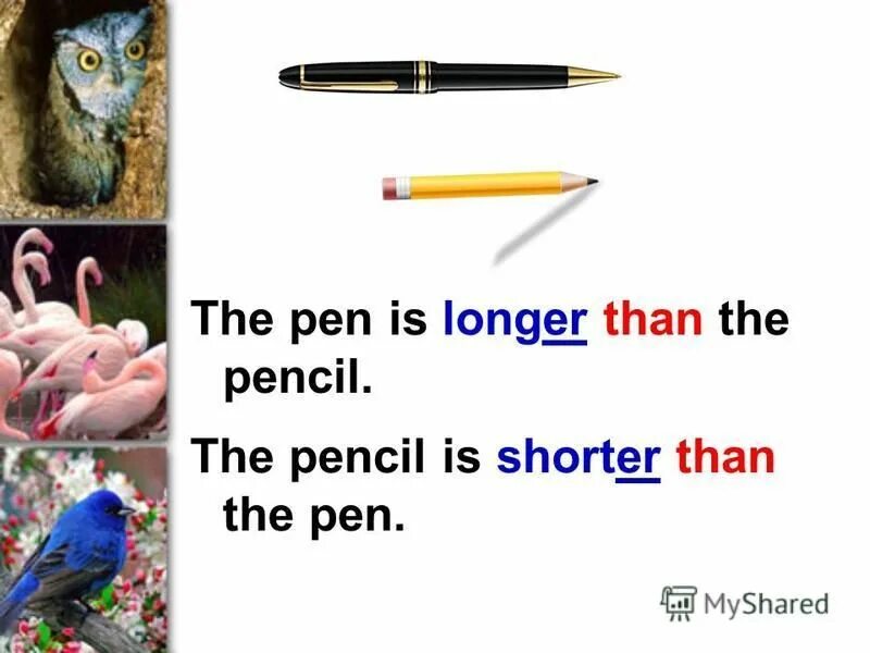 C is longer than a. Fill in the correct form упражнения по английскому языку. Spotlight 4 животные. C is longer than a. C is longer than a.