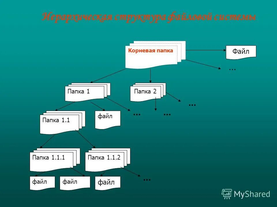 Корневая п. Корневая папка. Корневая структура папок. Названия корневых папок. Корневая директория это.