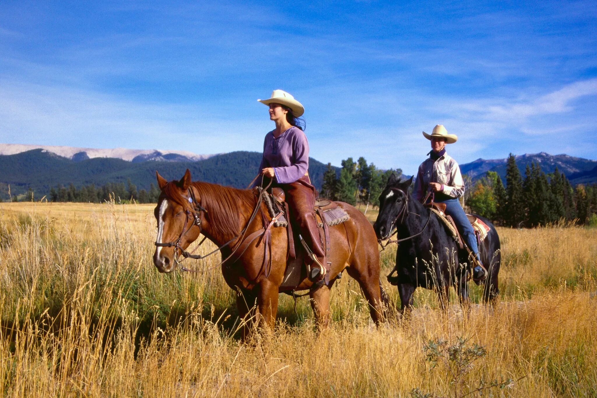 Ранчо в Horse Valley. Канзас Ковбои. Ковбой катается на лошадей. Ранчо в степи Канзаса. Riding around