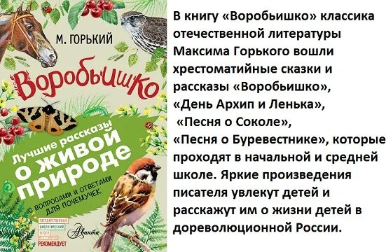 3. «Воробьишко» м. Горький. Чтение Воробьишко Горького. Рассказ Воробьишко м.Горький. Произведение м горького воробьишко