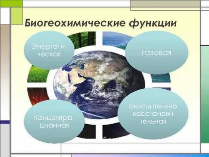 Биосфера отзывы